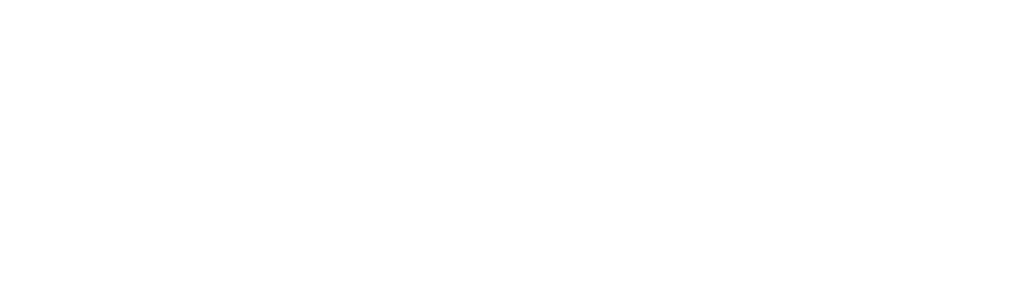 Invisible